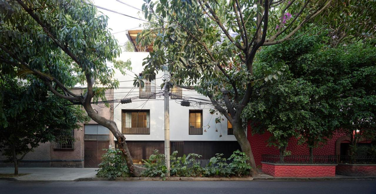 Hotel Dama 墨西哥城 外观 照片